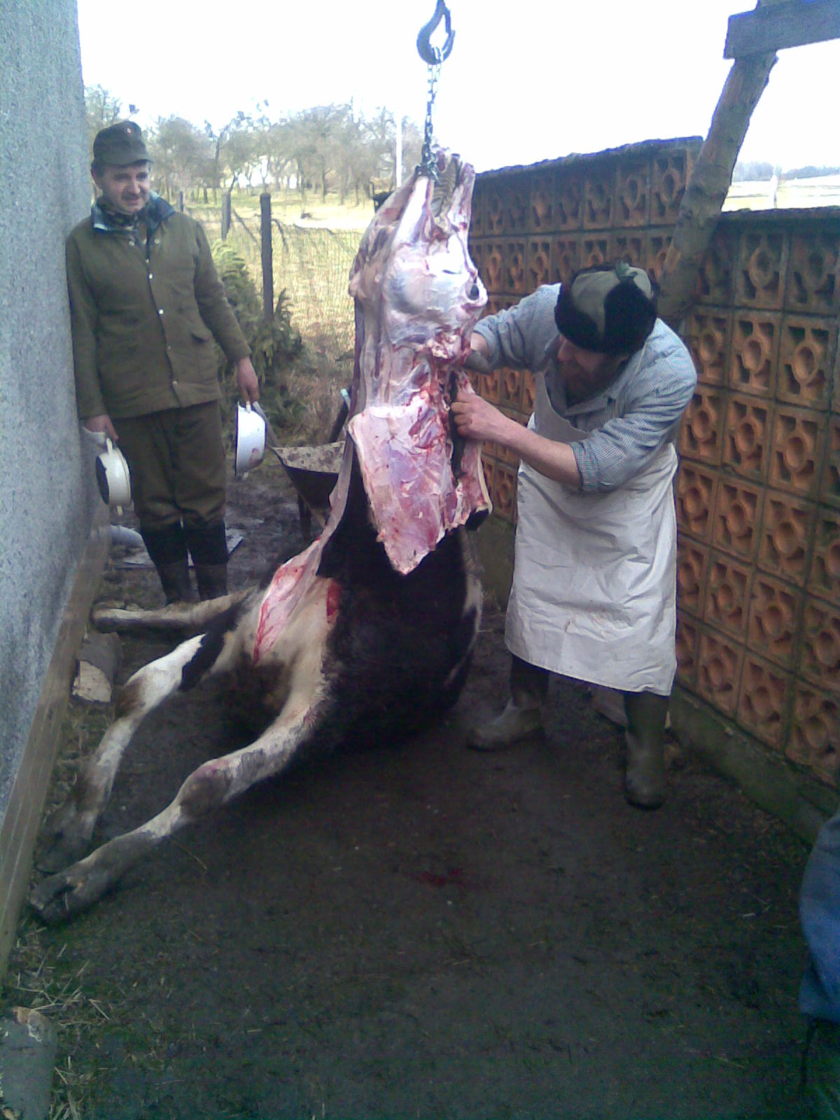 Obraz011.jpg