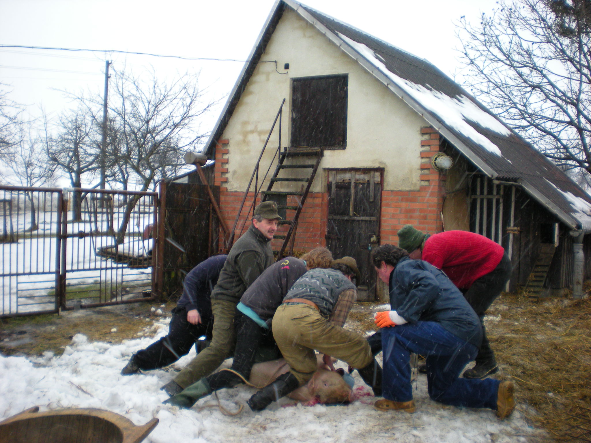 DSCN7252.JPG