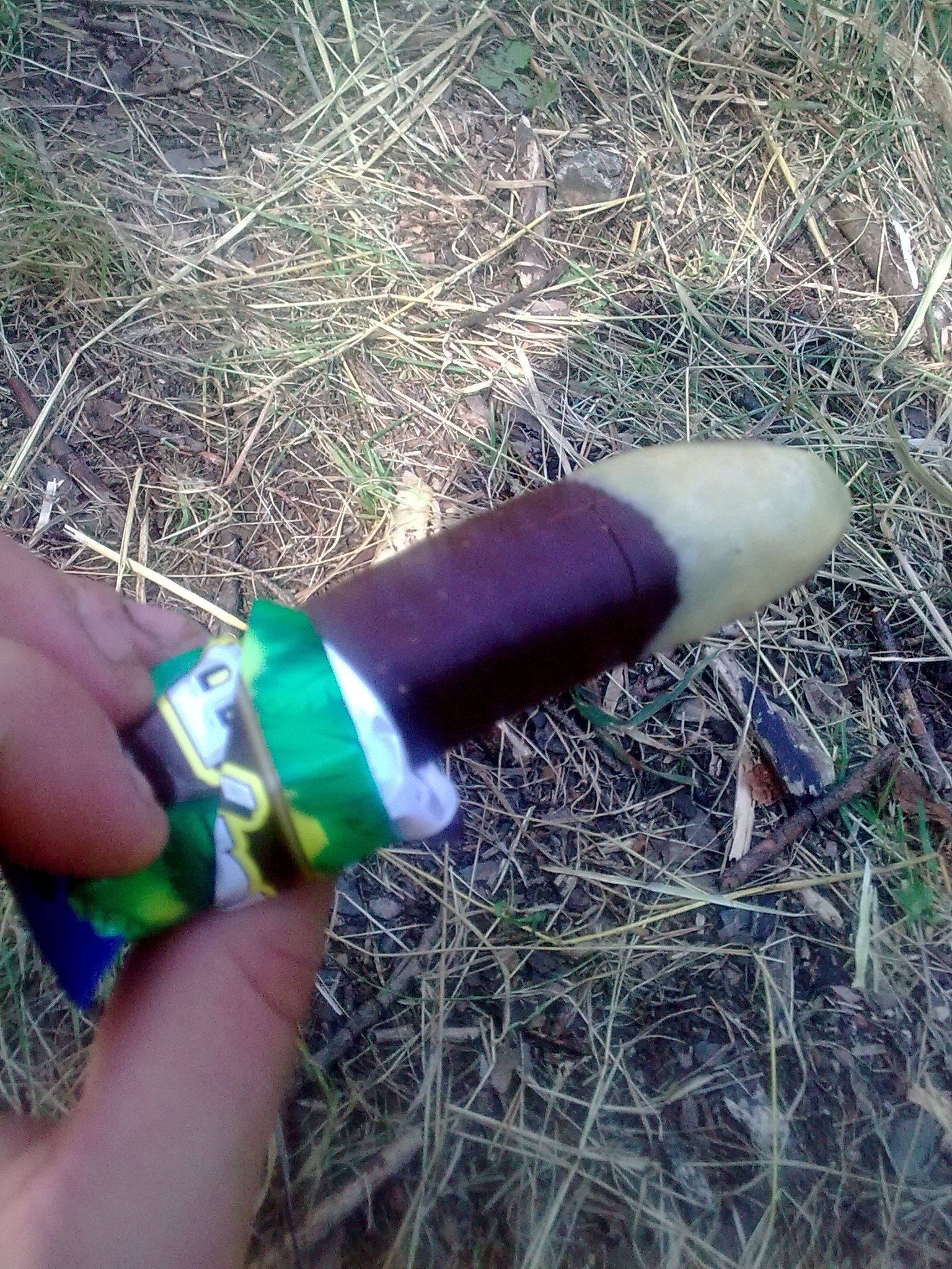 Obraz0139.jpg
