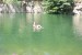 100_6657.JPG