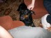 100_2965.JPG